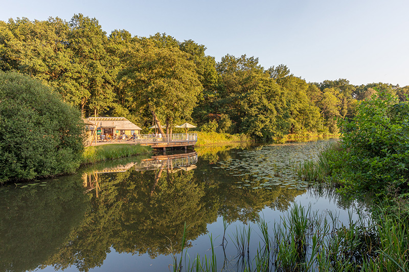 Huttopia campings Nederland, Huttopia campings Nederland