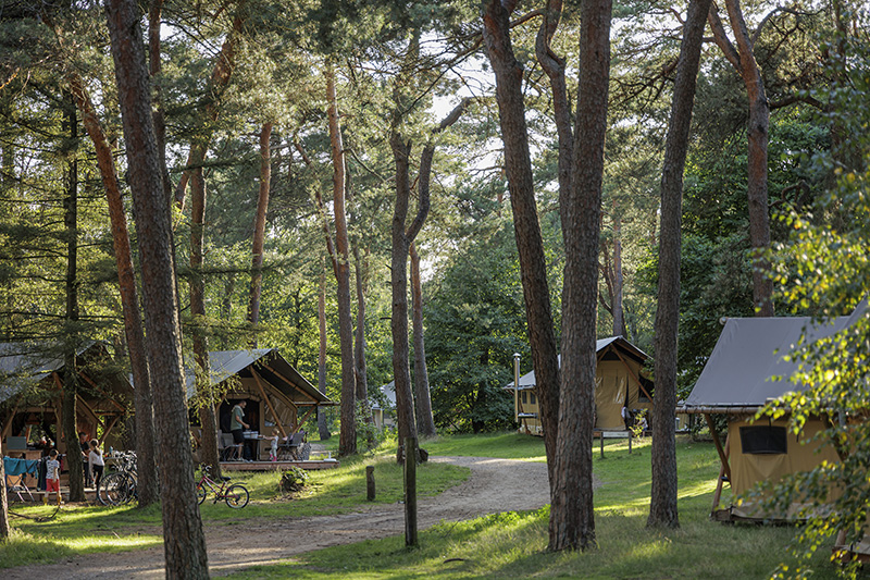 Huttopia campings Nederland, Huttopia campings Nederland